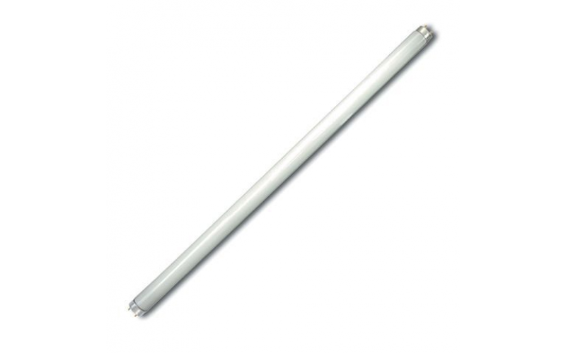 Лампа люминесцентная линейная двухцокольная ЛД-36Вт/740, G13, 4000 К TDM