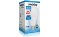 Светодиодная (LED) Лампа Smartbuy-A95-25W/6000/E27